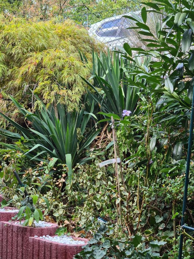 Cozy Room With A Beautiful Garden View เบานาทาล ภายนอก รูปภาพ