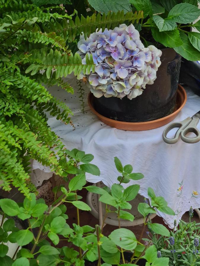 Cozy Room With A Beautiful Garden View เบานาทาล ภายนอก รูปภาพ
